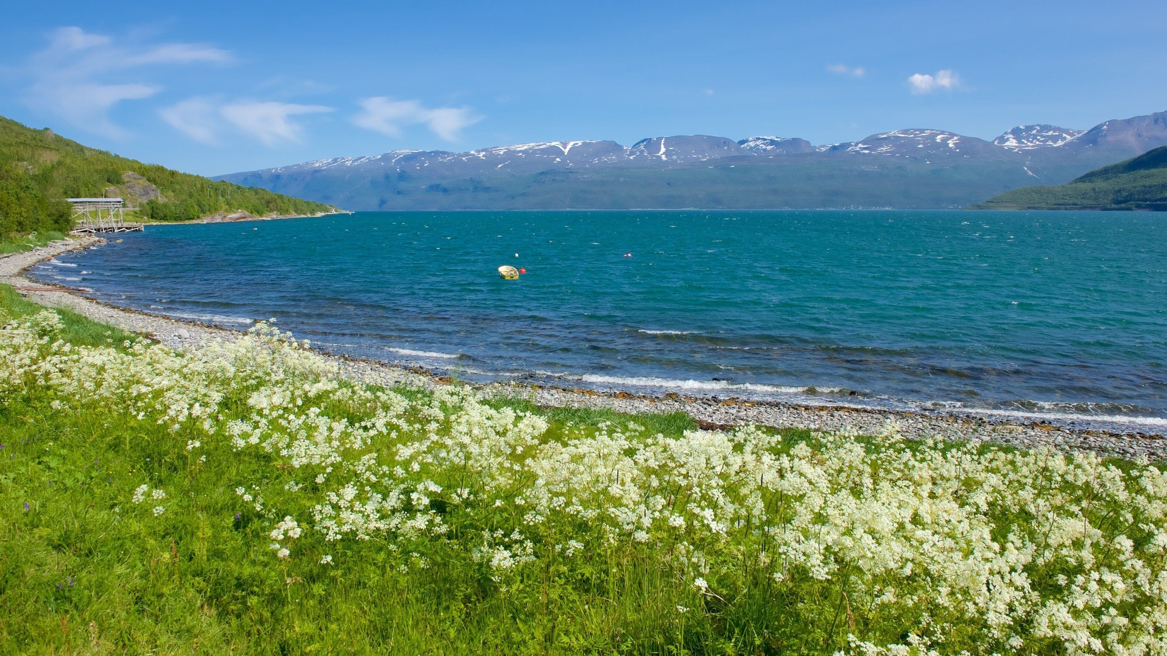 Storfjord featuring general coastal views