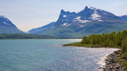 Storfjord som inkluderer stenete kystlinje, kyst og fjell