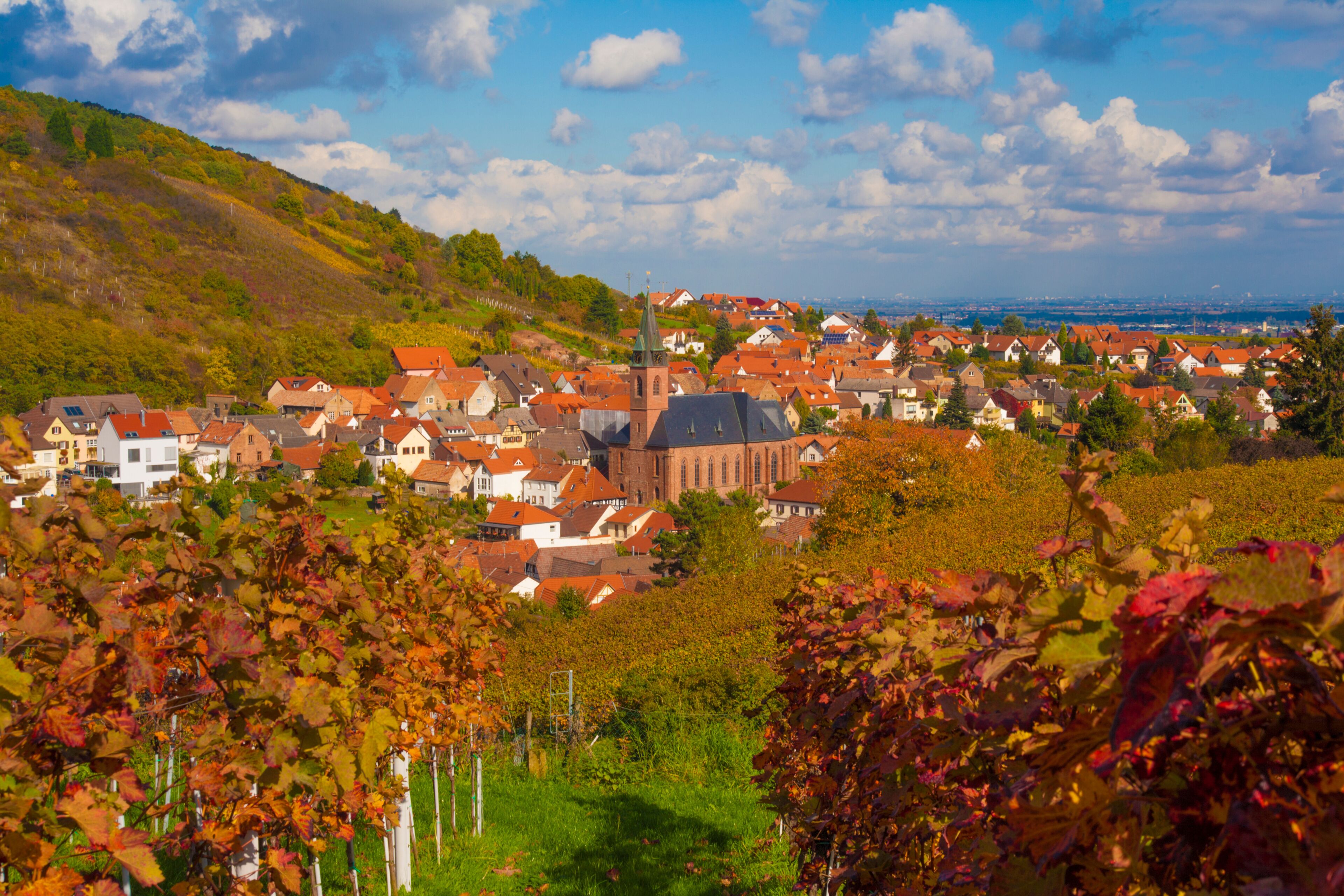 Sankt Martin