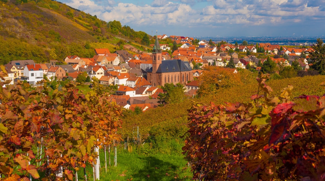 Sankt Martin