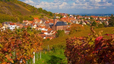 A town with red-roofed houses, a prominent church with a tall steeple, and a hillside in the background.