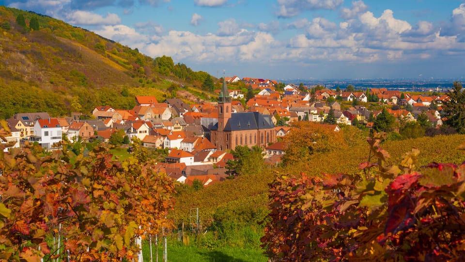 A town with red-roofed houses, a prominent church with a tall steeple, and a hillside in the background.