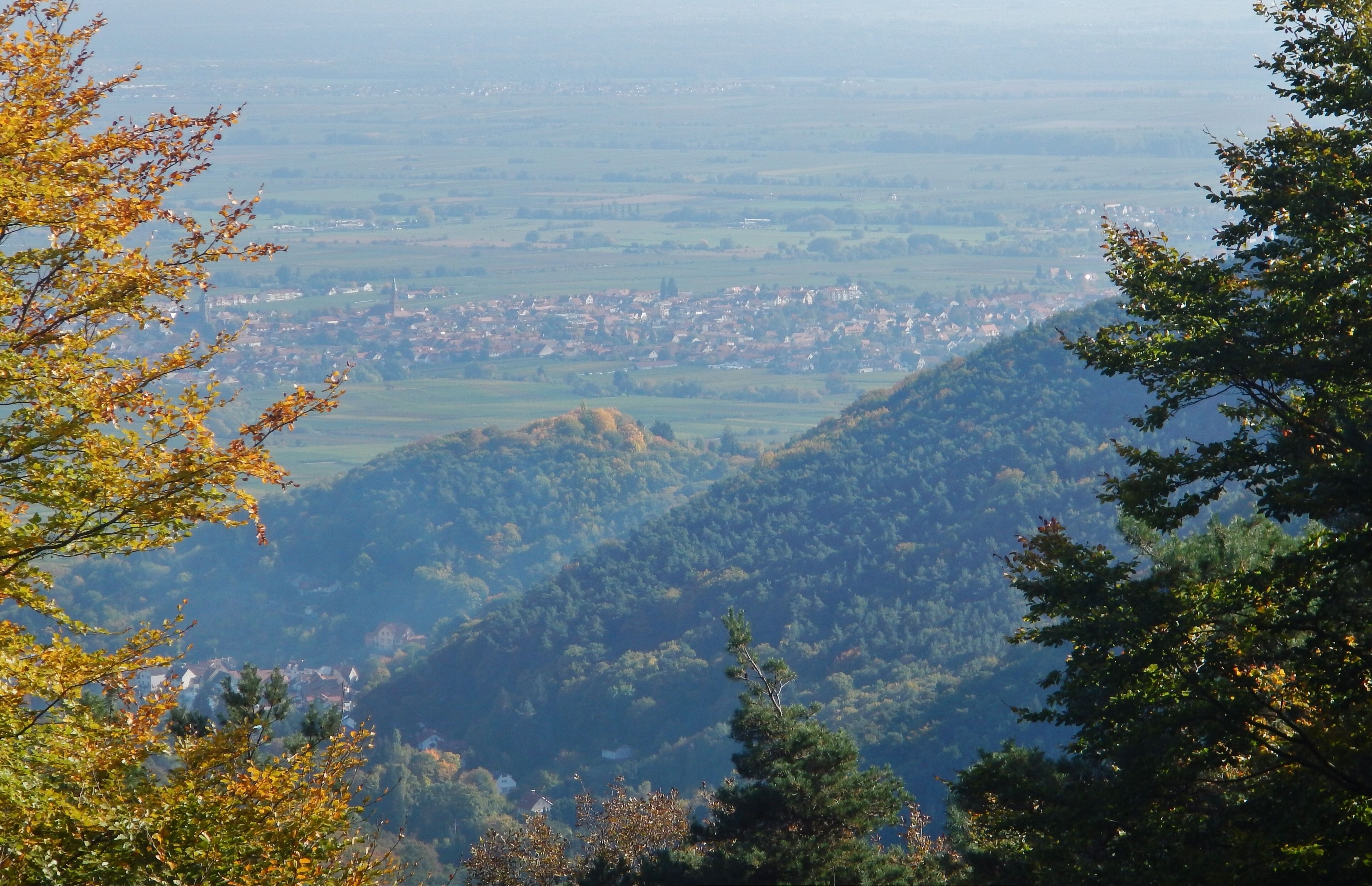 Ausblick von der Hüttenberghütte im Naturpark und Biosphärenreservat Pfälzerwald