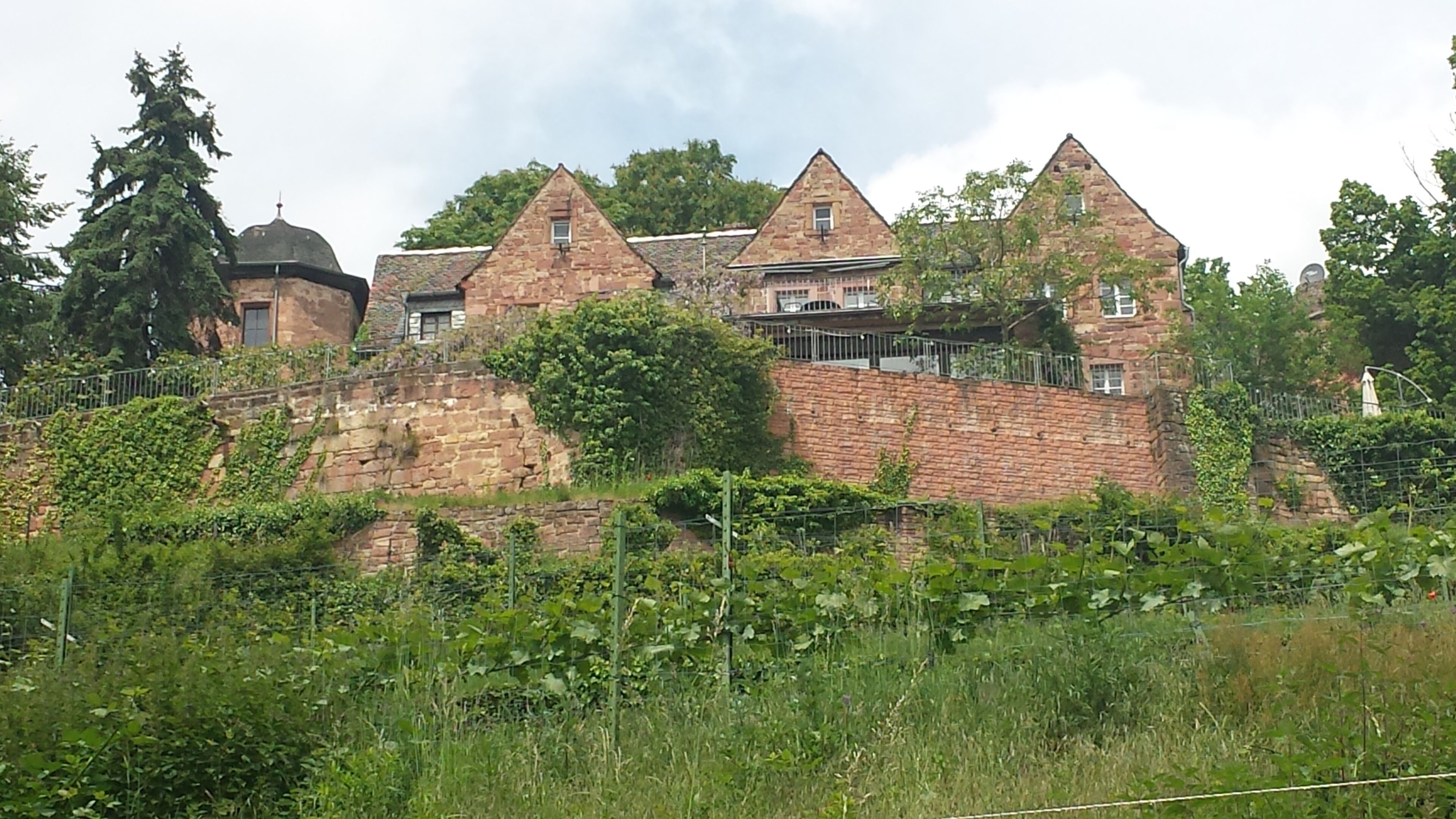 Blick auf die Kropsburg vom Kreuzweg von St. Martin aus auf dem Weg zur Mariengrotte