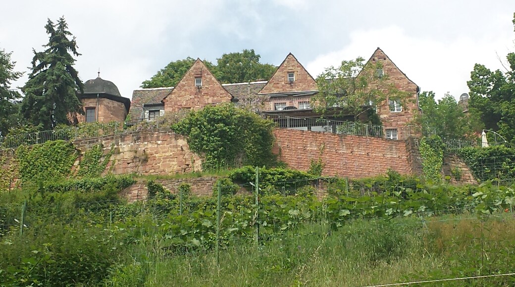 Blick auf die Kropsburg vom Kreuzweg von St. Martin aus auf dem Weg zur Mariengrotte