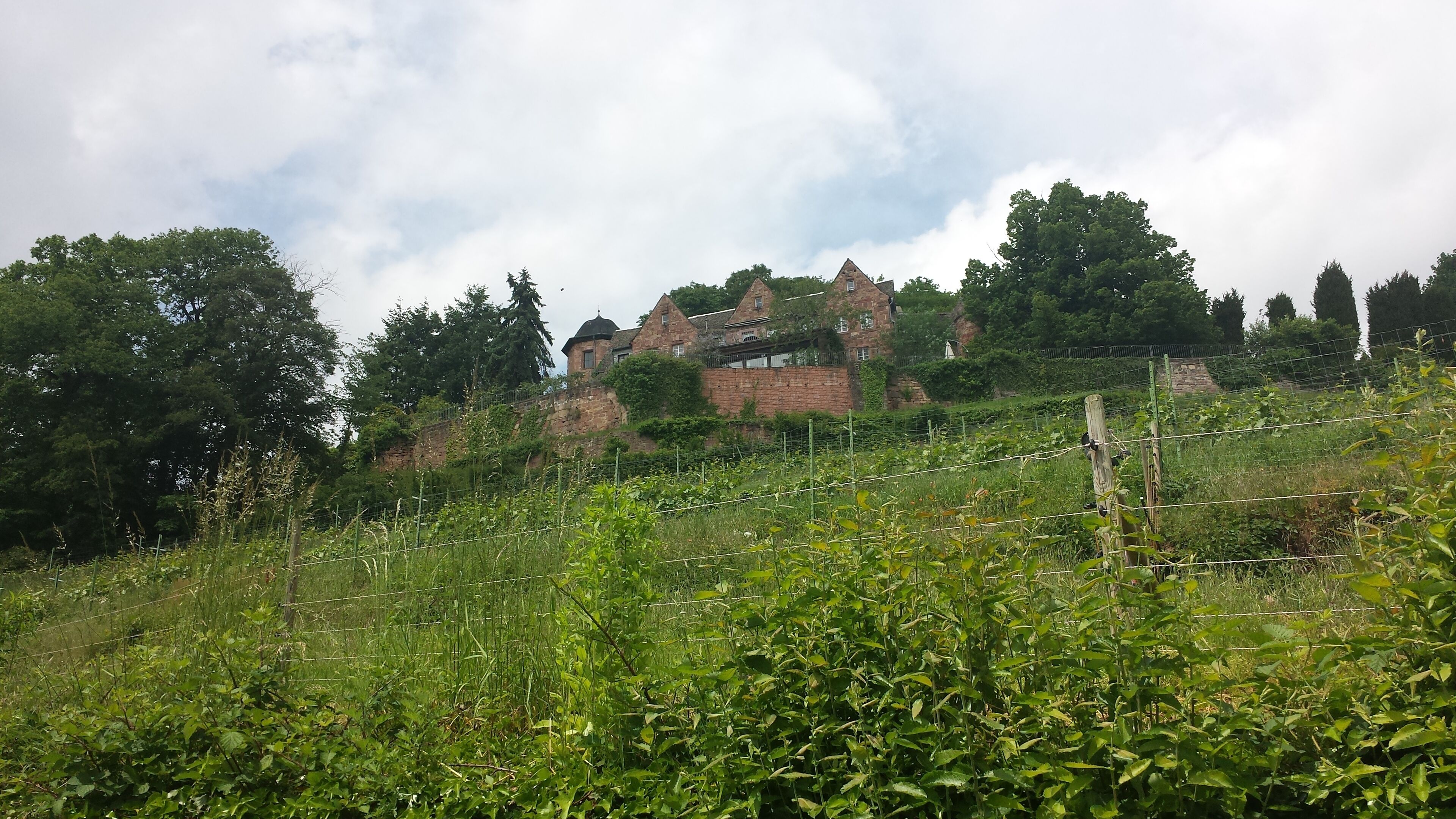 Blick auf das Schloss Kropsburg vom Kreuzweg aus auf dem Weg von St. Martin zur Mariengrotte
