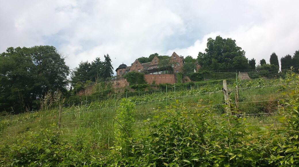 Blick auf das Schloss Kropsburg vom Kreuzweg aus auf dem Weg von St. Martin zur Mariengrotte
