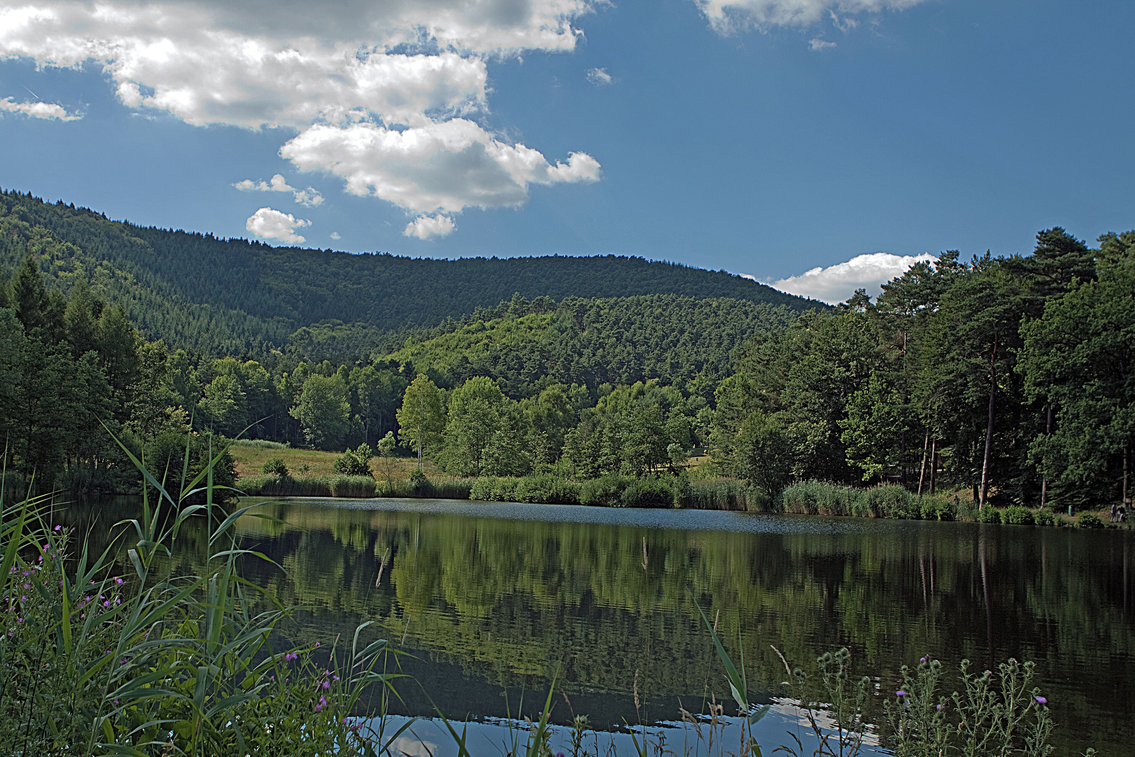 Pfälzer Wald - St. Martin