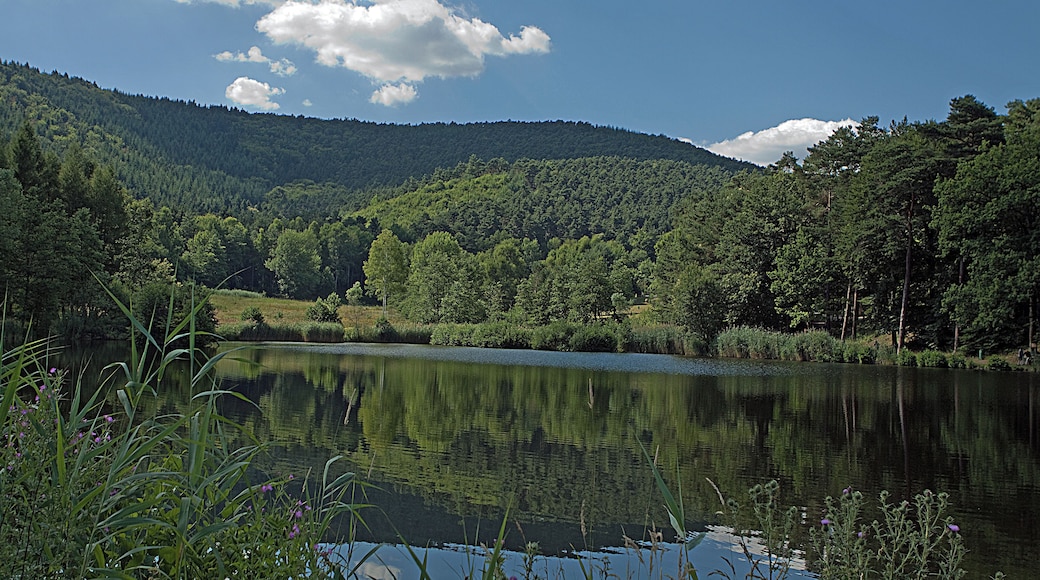 Pfälzer Wald - St. Martin