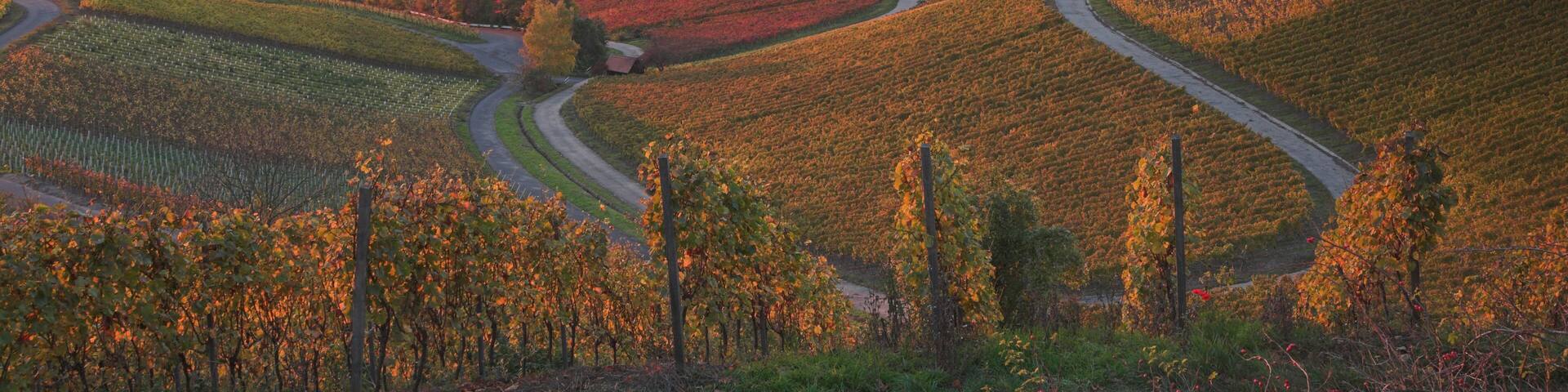 Weinberg, Franken
