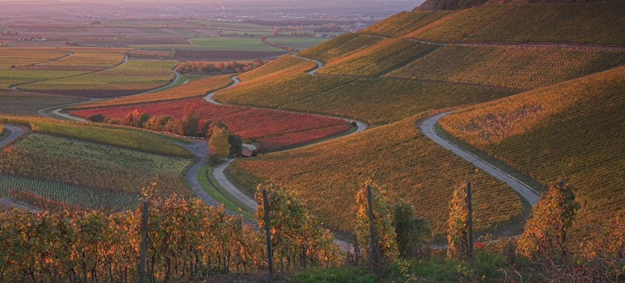 Weinberg, Franken