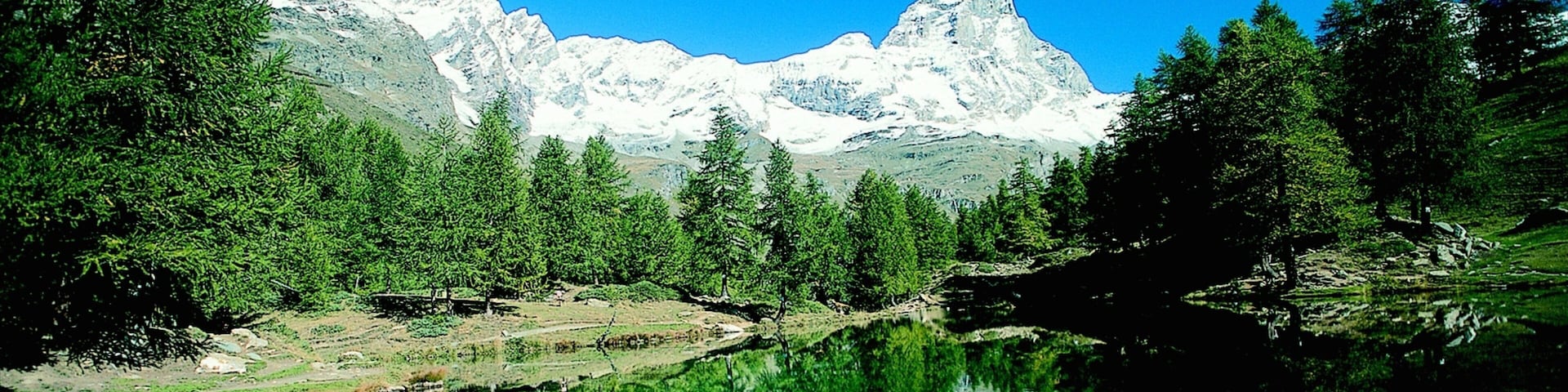 Valtournenche which includes forests, mountains and snow