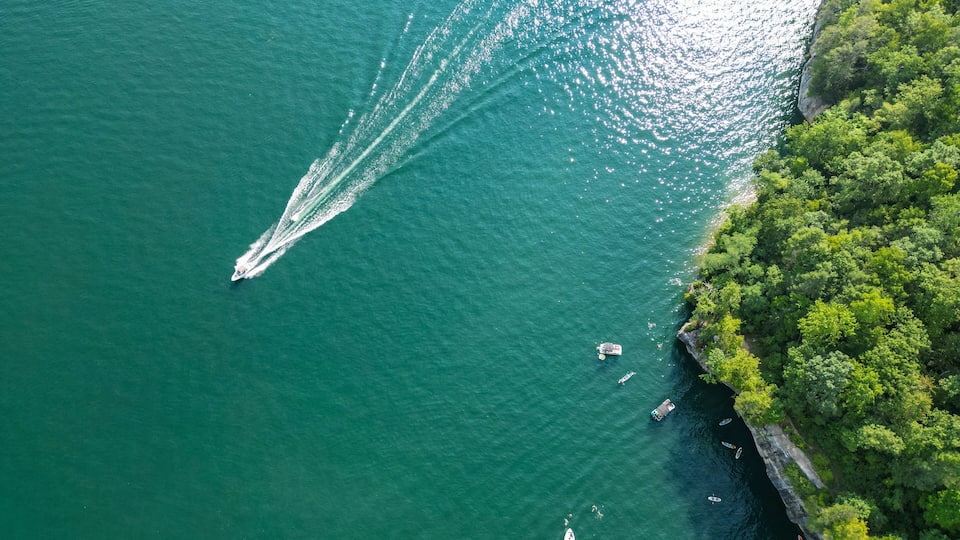 A boat creating a wake in a greenish-blue body of water, surrounded by dense green foliage and a rocky shoreline.