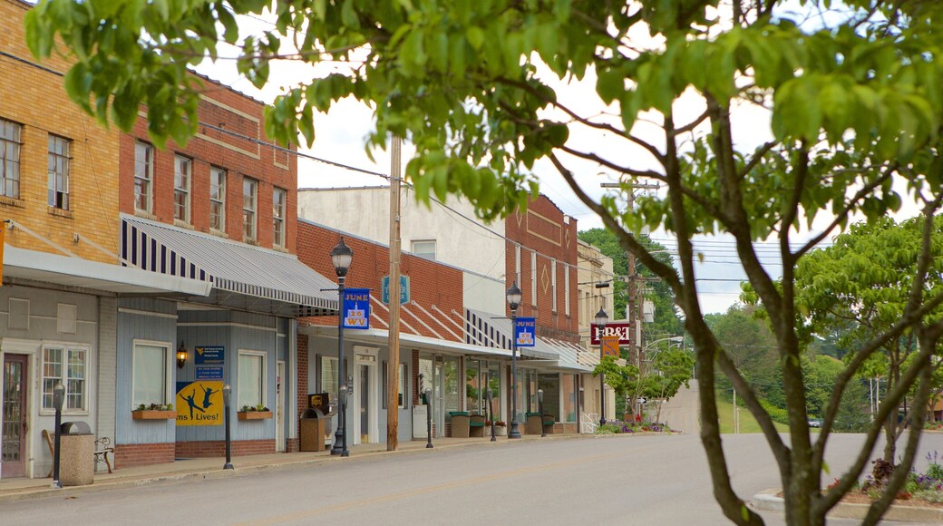 Summersville which includes a small town or village, street scenes and heritage elements