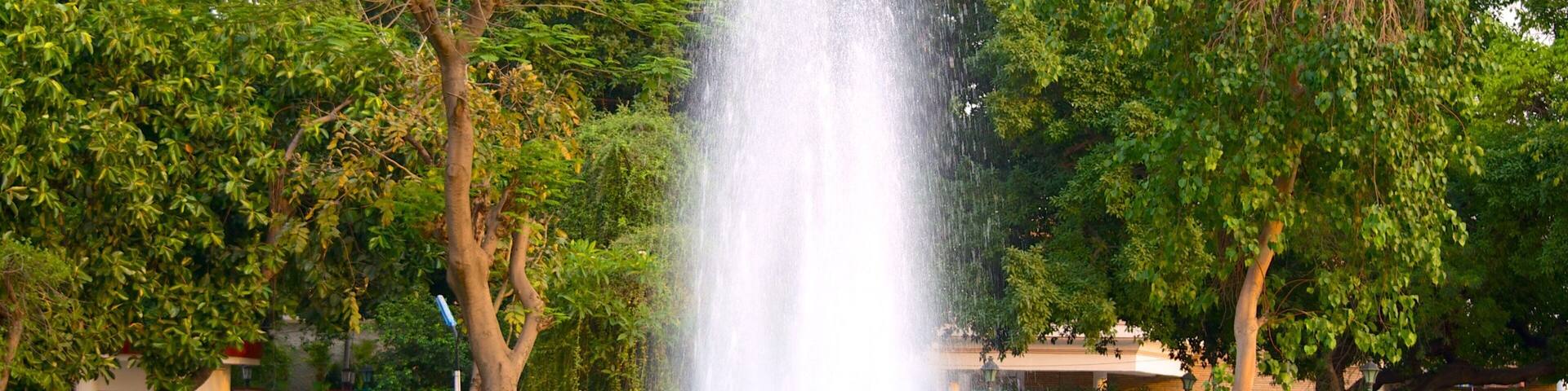 Nicco Park featuring a fountain and a garden