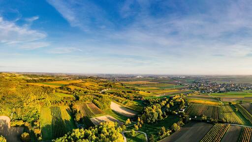 Aerial drone view of colorful vineyards fields in the Austrian Weinviertel region
