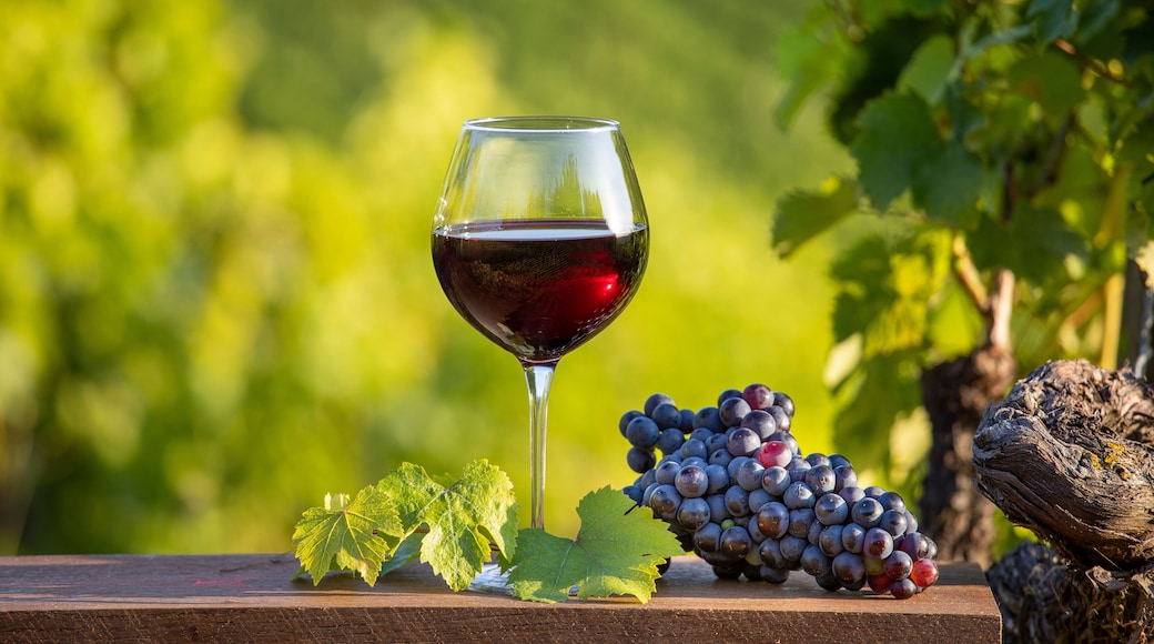 A glass of red wine, a bunch of grapes, and a leaf on a wooden surface with a blurred vineyard in the background.