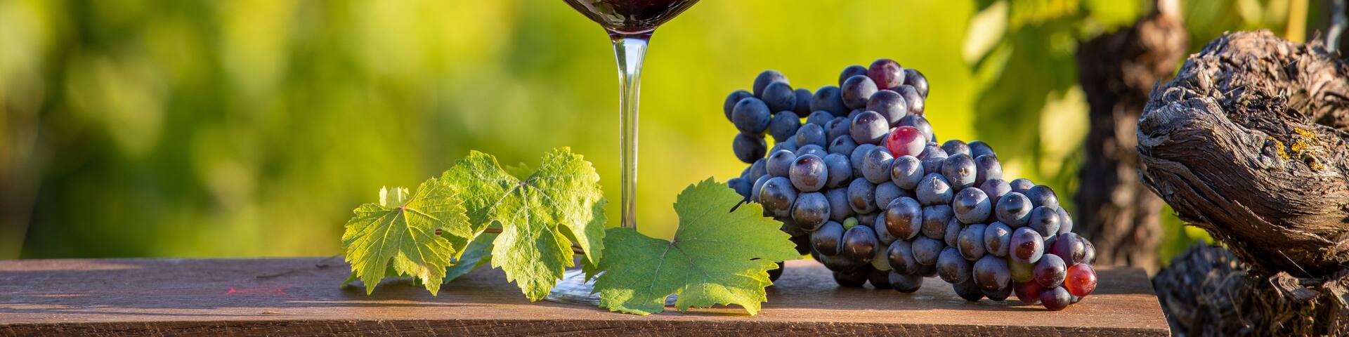 A glass of red wine, a bunch of grapes, and a leaf on a wooden surface with a blurred vineyard in the background.