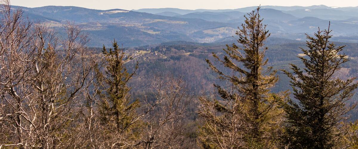 Vosges mountains landscape in Grandfontaine in France on march 30th 2021
