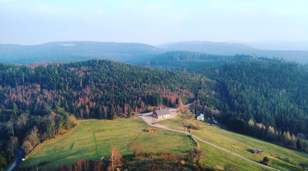 View from Le Rocher du Dabo