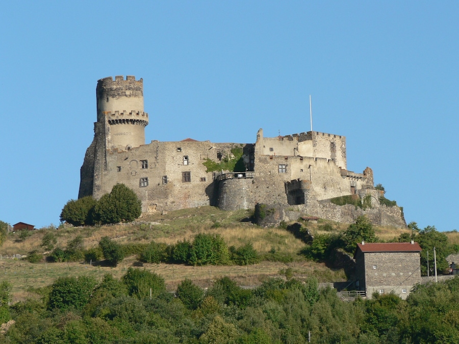 A medieval castle on a hill with a tower, surrounded by greenery and a small building.
