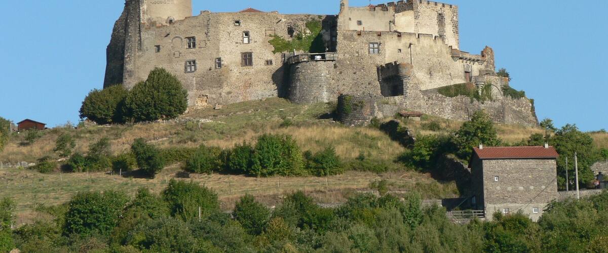 A medieval castle on a hill with a tower, surrounded by greenery and a small building.