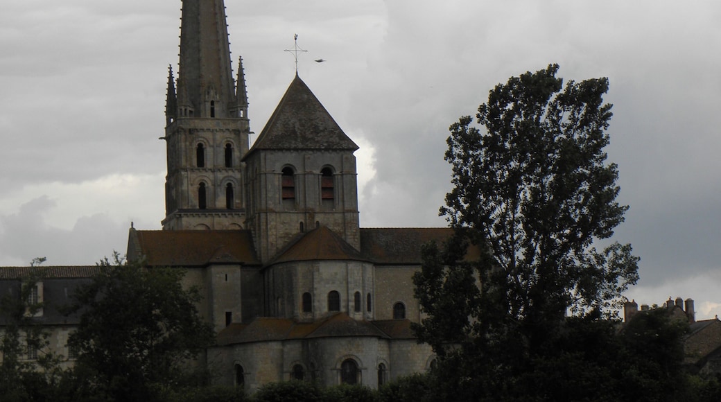 Abbaye de Saint-Savin-sur-Gartempe (86).