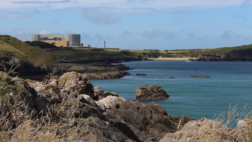 Wylfa Power Station