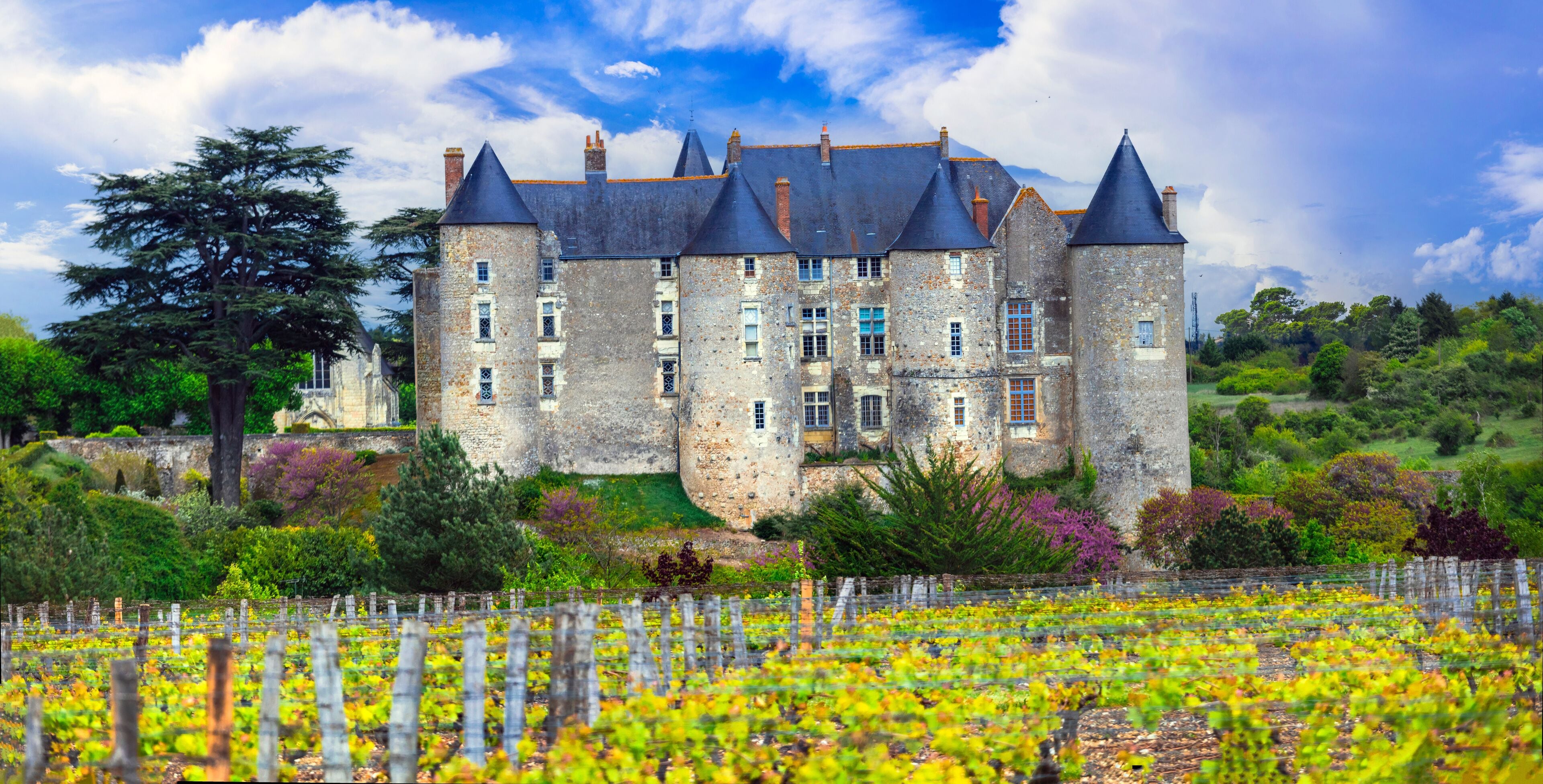 medieval French castles of Loire valley. Chateau de Luynes surrounded by scenic vineyards - heritage of France
