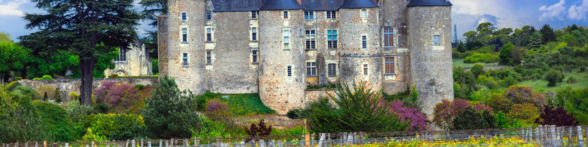 medieval French castles of Loire valley. Chateau de Luynes surrounded by scenic vineyards - heritage of France