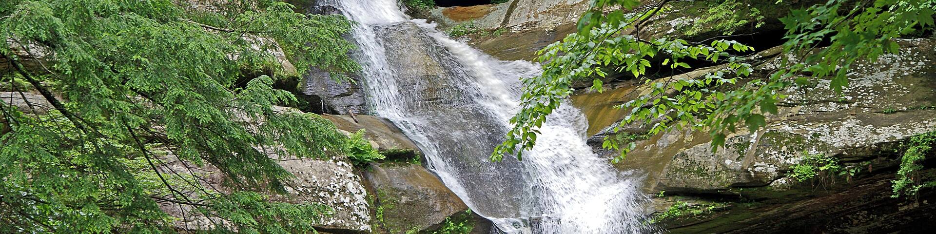 A waterfall cascading over rocks surrounded by lush green foliage.
