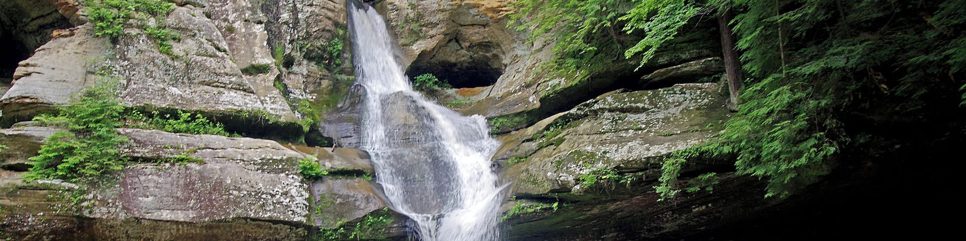 There are seven different hiking areas in the park. This is the Cedar falls area of the park.