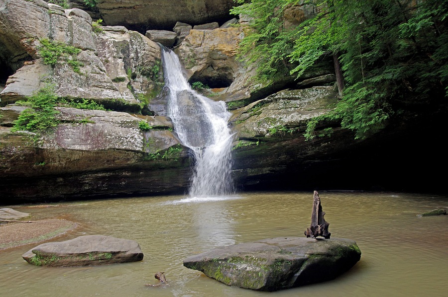 There are seven different hiking areas in the park. This is the Cedar falls area of the park.
