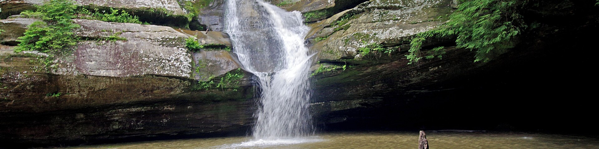 There are seven different hiking areas in the park. This is the Cedar falls area of the park.
