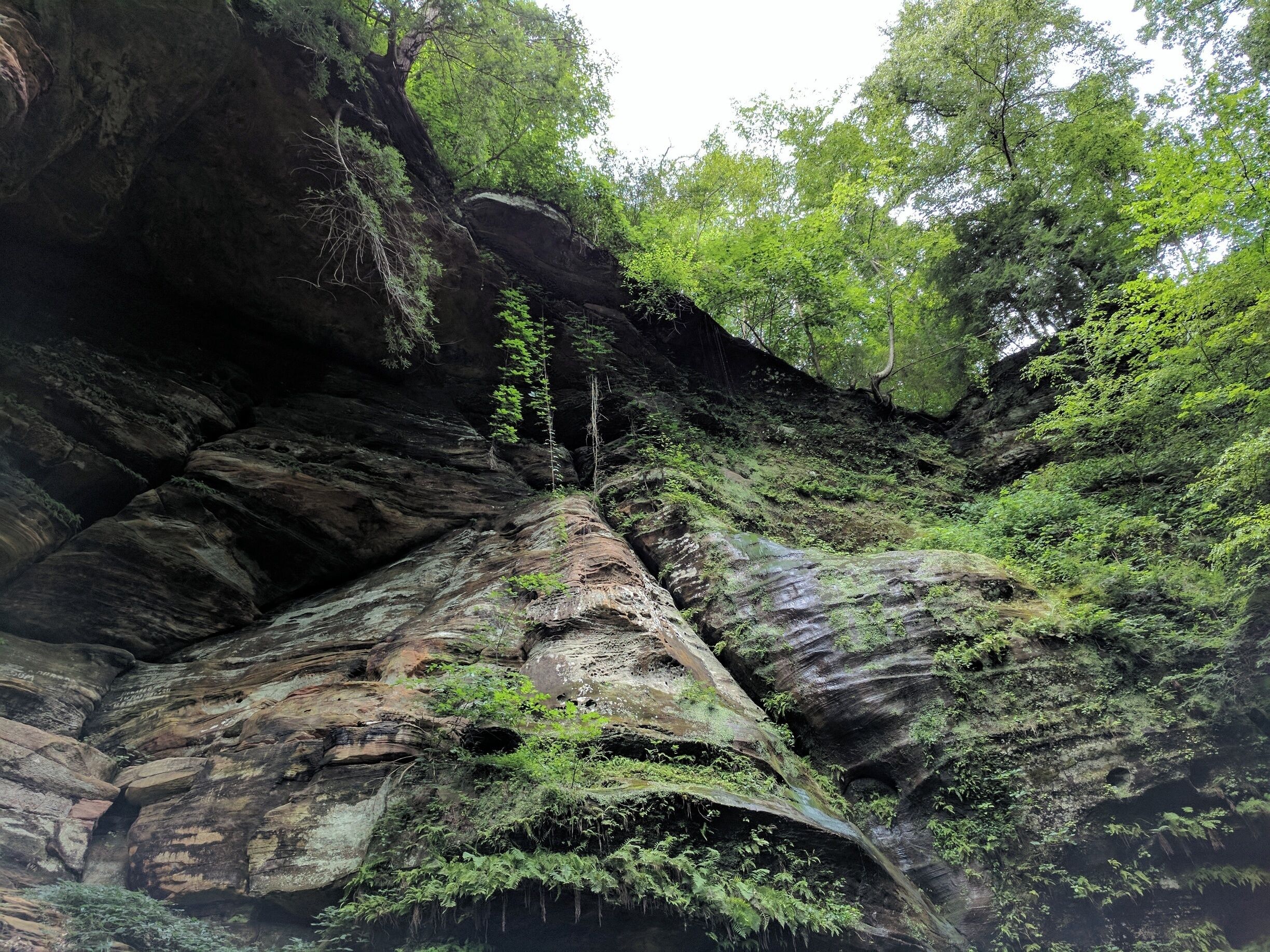 Along the route to the Rock House.  Gorgeous.