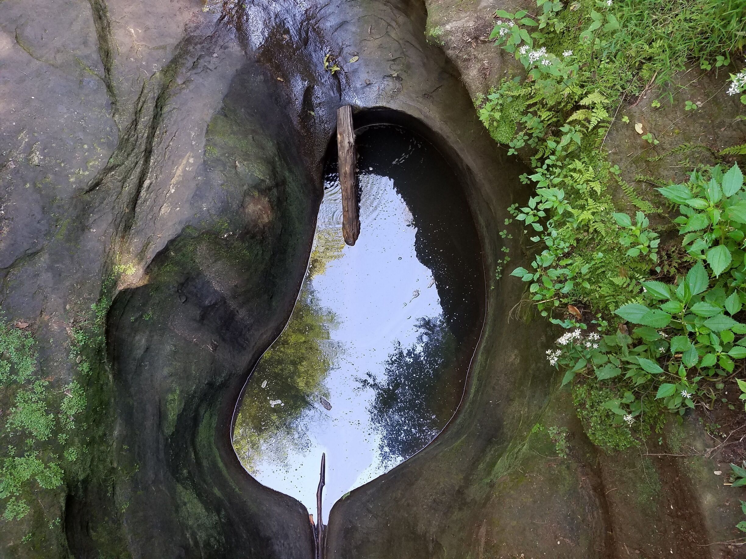 pool of water in Hocking Hills State Park aka Old Man's Cave. 
#TakeAHike