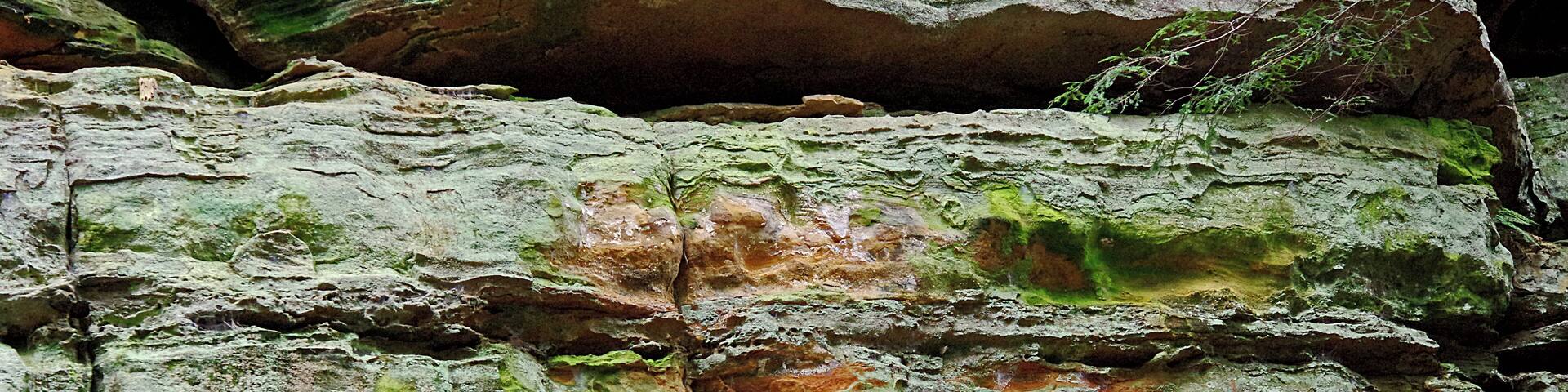 There are seven different hiking areas in the park. This is on the way to the Cedar falls area of the park. #OnTheRoad