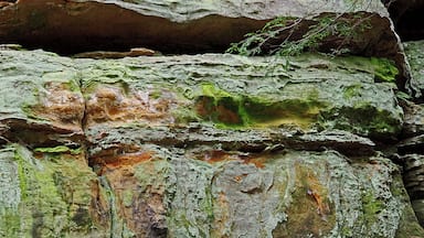 There are seven different hiking areas in the park. This is on the way to the Cedar falls area of the park. #OnTheRoad