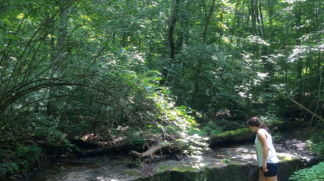 Natural Rock Bridge - great views from above and below! About a 3/4 mile hike on moderate terrain.