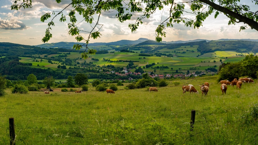 A lush green valley with rolling hills and a small town in the distance.