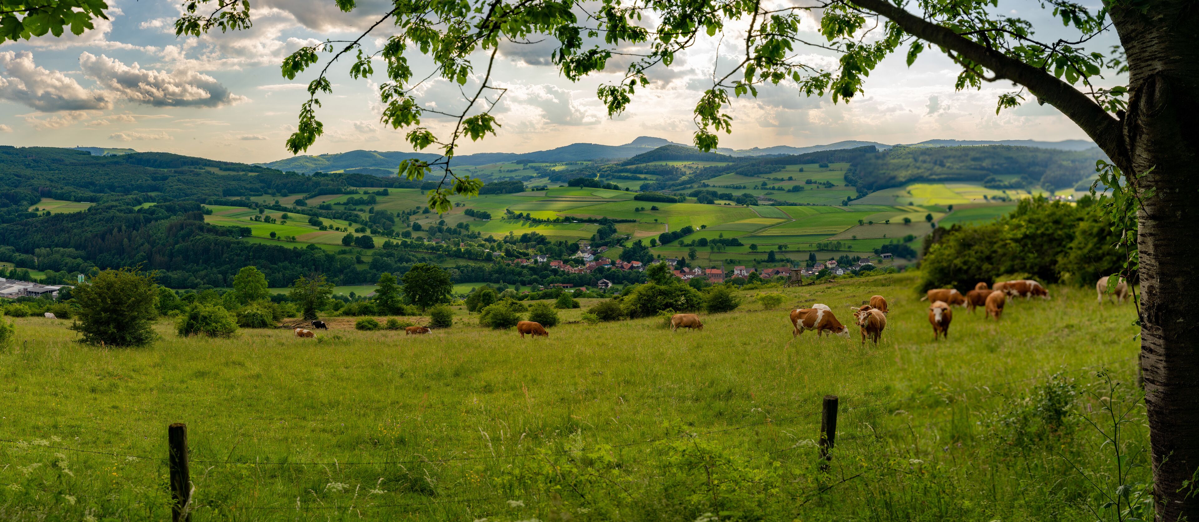 A lush green valley with rolling hills and a small town in the distance.