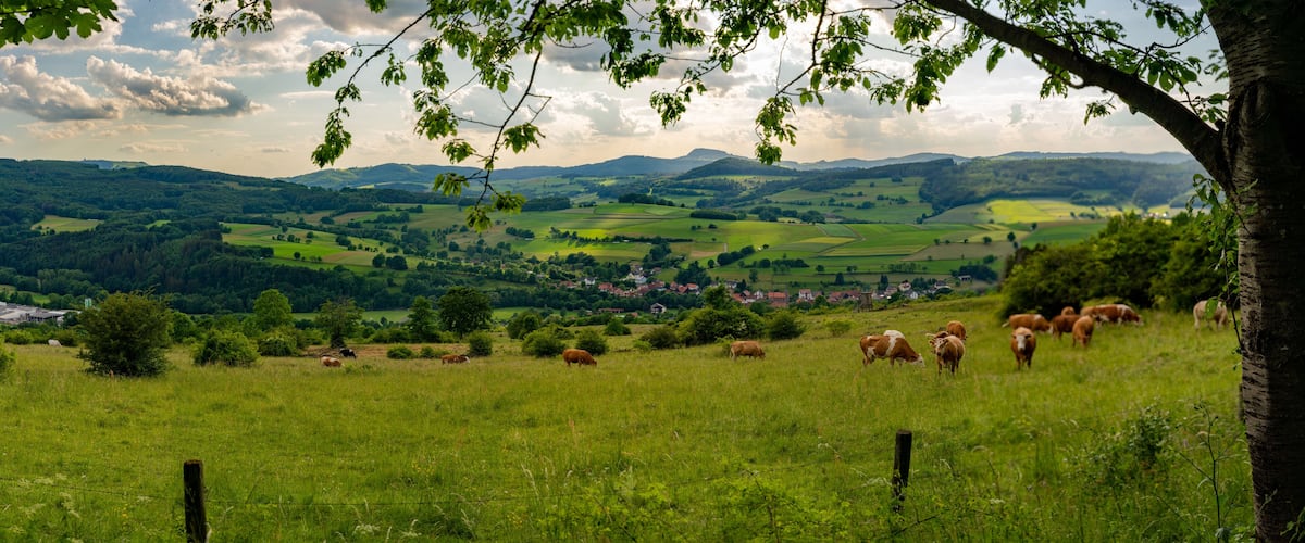 A lush green valley with rolling hills and a small town in the distance.