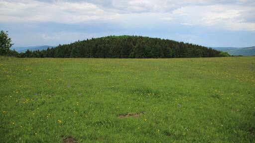 Blick vom Plateau des Weiherbergs ostwärts zum nahe benachbarten Fuchsküppel