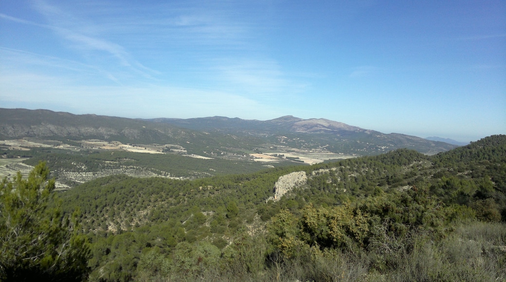 Vista L'alt de l'Aviació