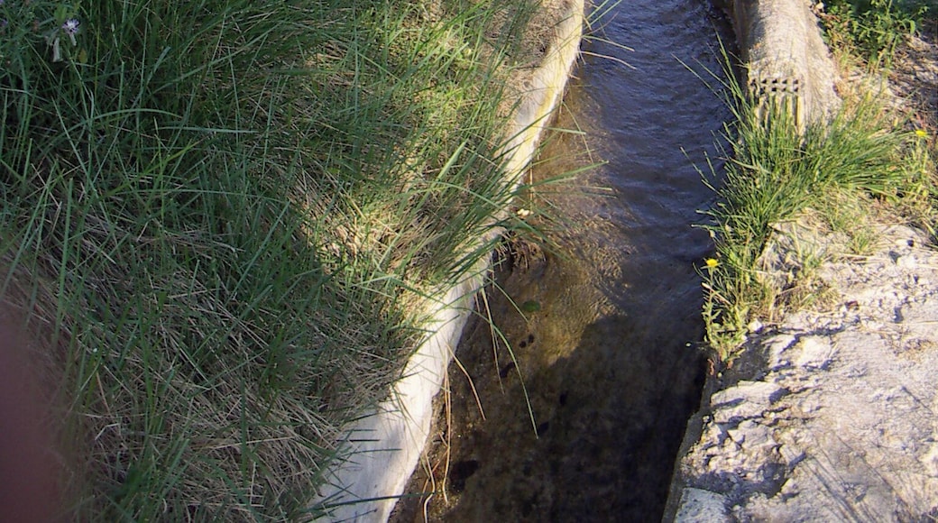 Acequia