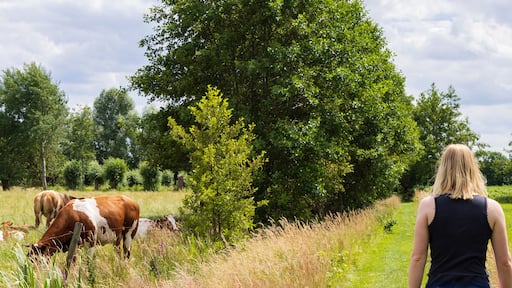 Hiking trail Glindhorsterpad one of the so called Klompenpaden or Wooden clog trails in youth village De Glind in Barneveld Gelderland in The Netherlands..
