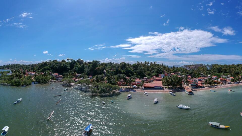 A coastal town with boats on the water, surrounded by greenery and buildings.