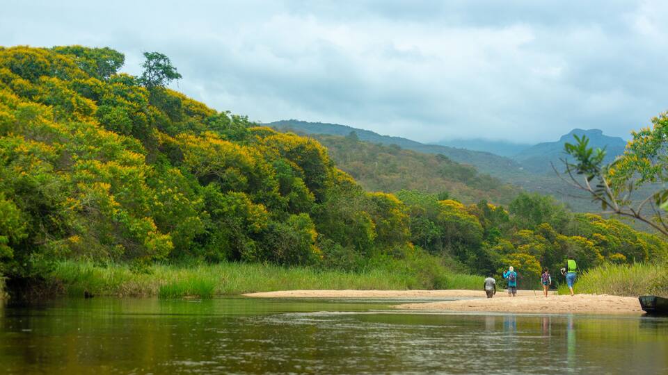 A riverbank with lush greenery and hills in the background.