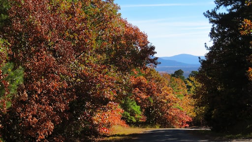 East Central Oklahoma landscape view of the Ouachita Mountains from the top of Cavanal Hill