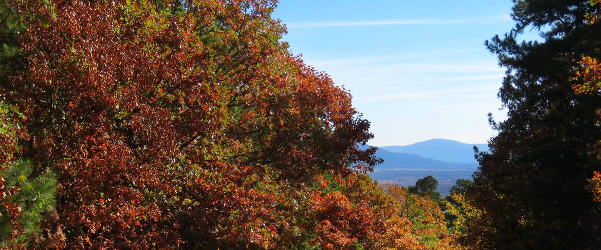 A dirt road flanked by trees with autumn foliage, leading towards distant mountains.